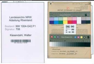 Entnazifizierung Walter Kiesendahl , geb. 21.07.1904 (Monteur)