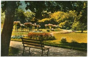 Großenhain. Stadtpark