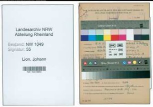 Entnazifizierung Johann Lion , geb. 18.11.1895 (Schlosser)