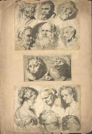 Verschiedene Kopf-Ansichten von Männern, Frauen, Kindern und Löwen