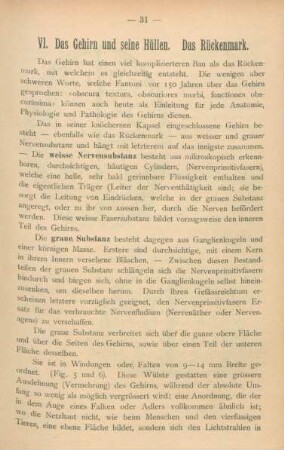 VI [= IV]. Das Gehirn und seine Hüllen. Das Rückenmark