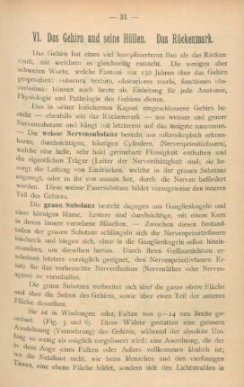 VI [= IV]. Das Gehirn und seine Hüllen. Das Rückenmark