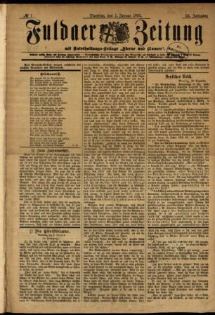 Ausgabe vom Dienstag, den 01. Januar 1895.