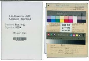 Entnazifizierung Karl Bruder , geb. 21.03.1908 (Desinfektor)