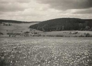 Altenberg-Hirschsprung. Gehöfte im Tal der Hinteren Biela von der Hohen Straße am Geisingberg aus