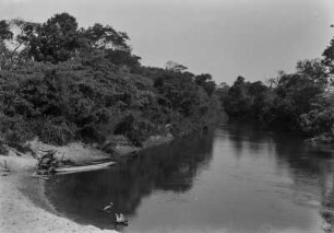 Der Rio do Peixe : Blick über den Rio do Peixe. Dichte Vegetation am Ufer.