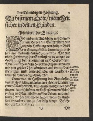Absonderlicher Eingang.