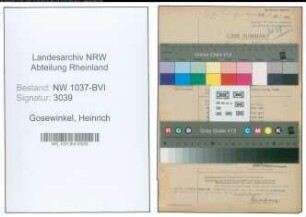 Entnazifizierung Heinrich Gosewinkel , geb. 04.10.1909 (Stadtassistent)