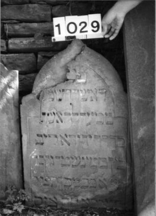 Grabstein 1029 (Index: 99630532) Material: Sandstein Zustand: oben abgebrochen, verwitt, Textverlust Maße HxBxT: 83x52x8 cm Beschreibung: Stele mit eingezogenem Spitzbogenabschluß: Grabstein 1029