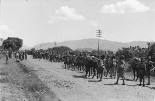 Italienische Kolonialsoldaten : Italienische Kolonialsoldaten auf einer Landstraße
