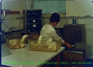 Tests mit einem speziellen Ganzkörperzähler für Tierversuche am Institut für Strahlenbiologie (IStB)