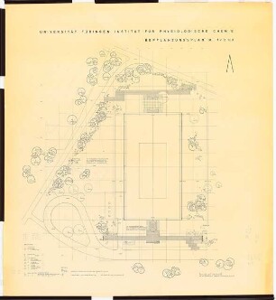 Universität Tübingen Grünanlage am Institut für Physiologische Chemie: Lageplan mit Pflanzplan 1:200