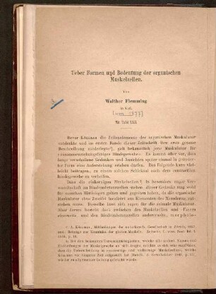 Ueber Formen und Bedeutung der organischen Muskelzellen