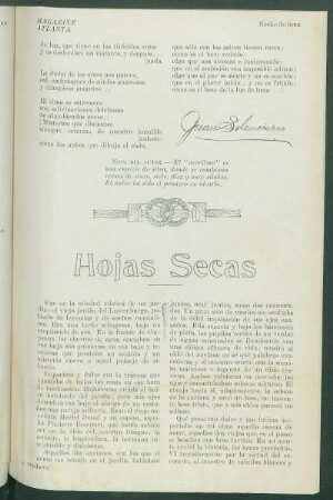 Hojas Secas