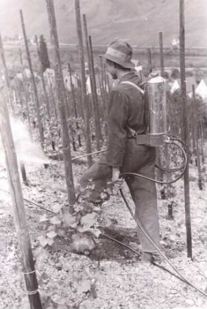 Foto Arbeiter bei Ausbringung von Pestiziden