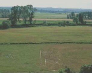 Hochwasserspuren in einem Feld nahe der Unstrut