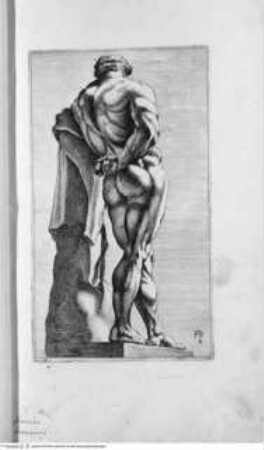 Segmenta nobilium signorum e[t] statuaru[m], quae temporis dentem invidium evasere, urbis aeternae ruinis erepta typis aeneis ab ce commissa perpetuae venerationis monumentum. (Romae) 1638 (1653)Tafel 4: Herkules Farnese - Illmo. D. D. Rogerio Duplesseis Dño. de Liancourt Marchioni de Montfort, comiti de la Rocheguion E.a. ... [Icones et] segmenta nobilium signorum et statuarum quae temporis dentem invidium evasere urbis aeternae ruinis erepta typis aeneis ab ce comissa perpetuae venerationis monumentum