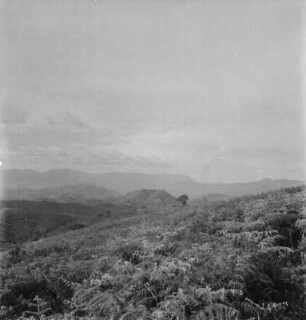 Panoramaaufnahme : Panorama der Virunga Vulkankette am Ostafrikanischen Grabenbruch in Richtung Nordwesten