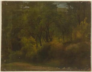 Waldinneres