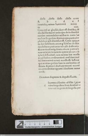 Liber IV / Cap. IV