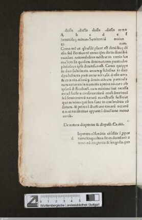 Liber IV / Cap. IV