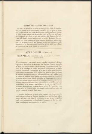 Azerolier Écarlate. Mespilus Coccinea ...