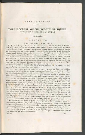 I. Bivalvia. Zweischalige Muscheln.