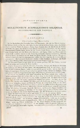 I. Bivalvia. Zweischalige Muscheln.