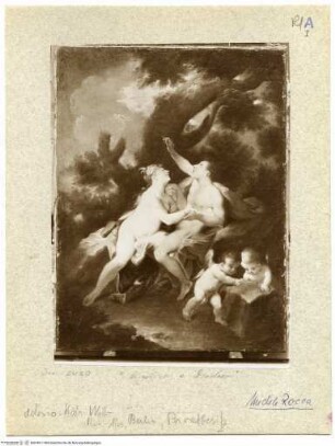 Angelika und Medoro