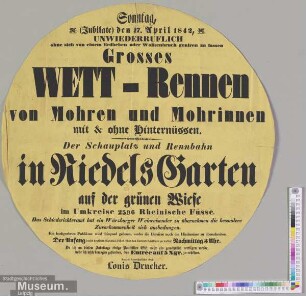 Großes Wett-Rennen