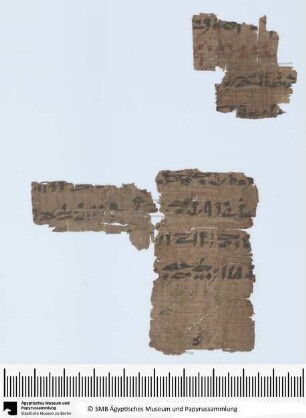 Späthieratischer Papyrus