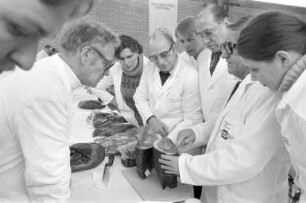 Qualitätsprüfung für Fleischwaren und Feinkosterzeugnisse durch die Deutsche Landwirtschaftsgenossenschaft DLG in der Nancyhalle