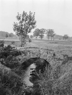Wittgendorf b. Zittau