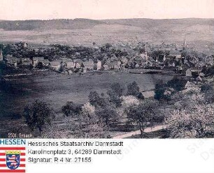 Erbach im Odenwald, Panorama