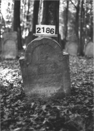 Grabstein 2186