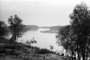 Oltenita: Flusslauf des Arges an der Chausee Bucuresti, Vordergrund Bäume