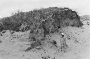 Kameldorn vom Sand eingeweht : Kameldorn vom Sand eingeweht; davor ein Mädchen