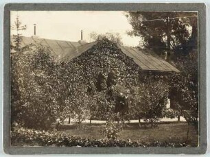Wohnhaus : Klausenburg (Cluj-Napoca / Rumänien). Wohnhaus. Gartenansicht