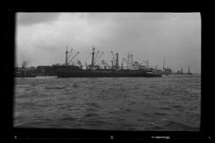 Clemens Sartori (1956), Frachtschiff (reefer), Sartori & Berger, Kiel, Bau-Nr. 579