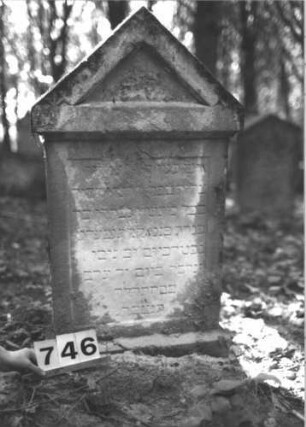 Grabstein 746 (Index: 99900403) Material: Sandstein Zustand: stellenweise verwittert Maße HxBxT: 101x56x16 cm Beschreibung: Stele mit Dreiecksabschluss: Grabstein 746