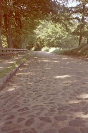 Ohe: Hobeken: Pflasterstraße nach Sachsenwaldau: links Fußgängerweg, Zaun, beiderseits Bäume