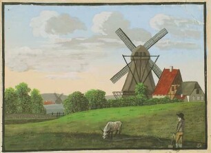 Die Holländerwindmühle auf dem Marienfeld in Flensburg