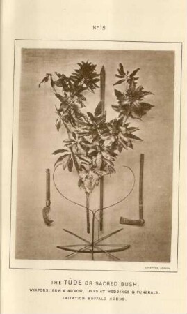 The Tûde or sacred bush