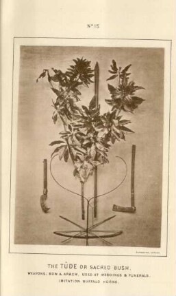 The Tûde or sacred bush