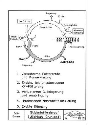 Stickstoffkreislauf (Milchkuh-Grünland)