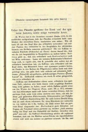 Ueber den Phaedon pyritosus des Rossi und der späteren Autoren, sowie einige verwandte Arten