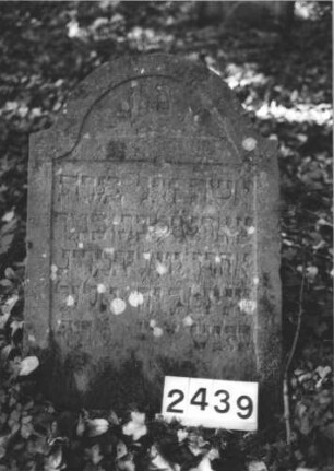 Grabstein 2439