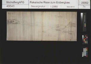 Seidenschwanz obere 2.- 4. Maßen hinter Erbisdorf
