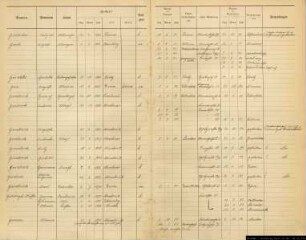 Einwohnerregister Münster, Nachname Go