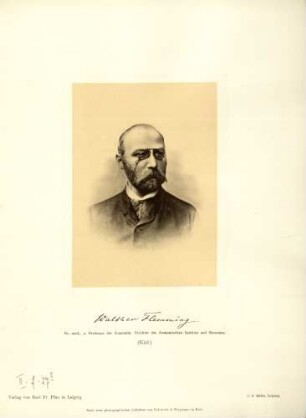 Walther Flemming